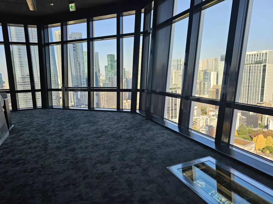 Platform pengamatan utama