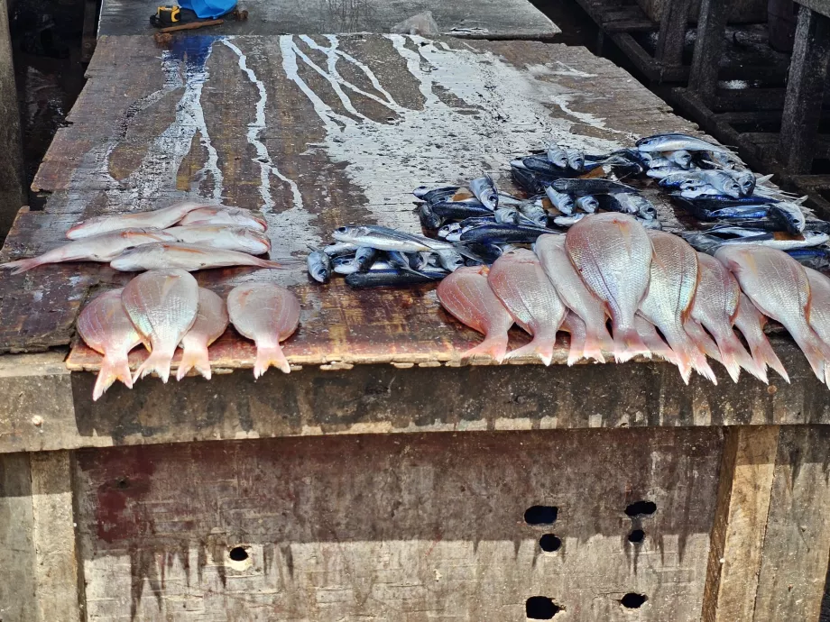Pasar Ikan Feri
