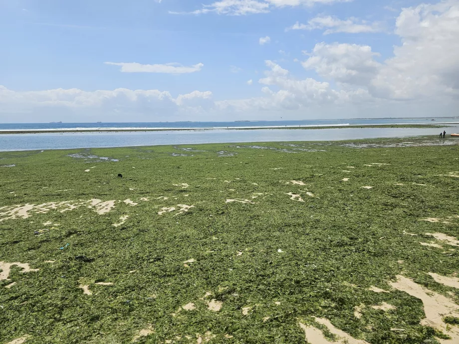 Pantai Coco