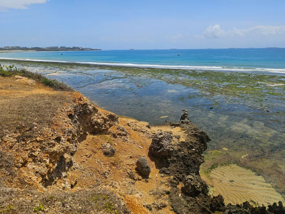 Terumbu karang di dekat Pantai Coco