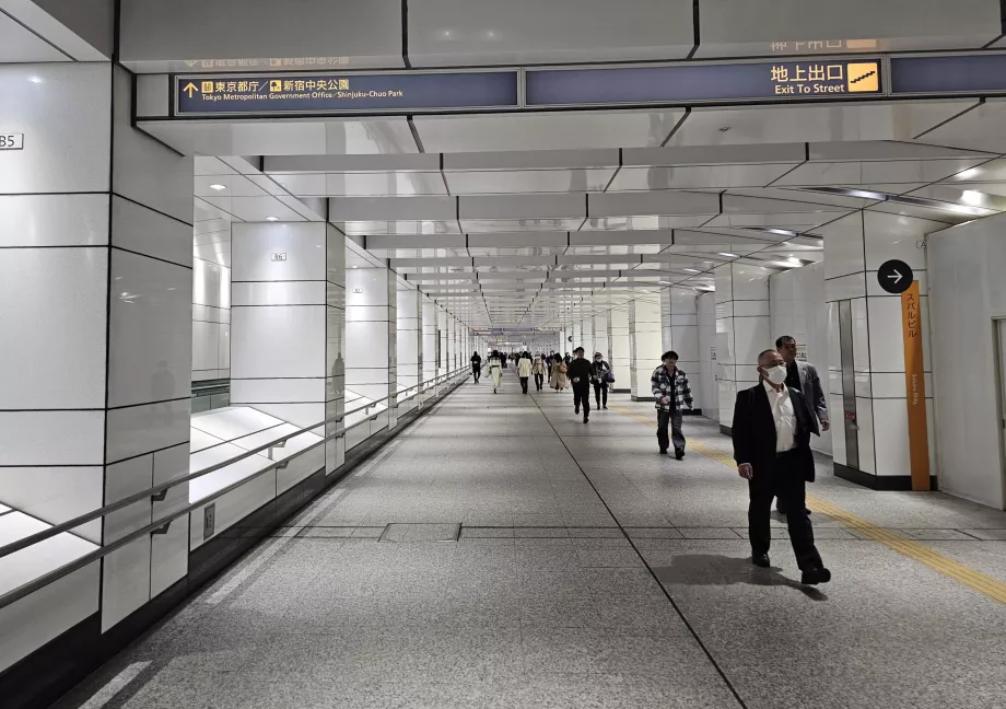 Perjalanan dari Stasiun Shinjuku ke Gedung Pemerintah Metropolitan Tokyo