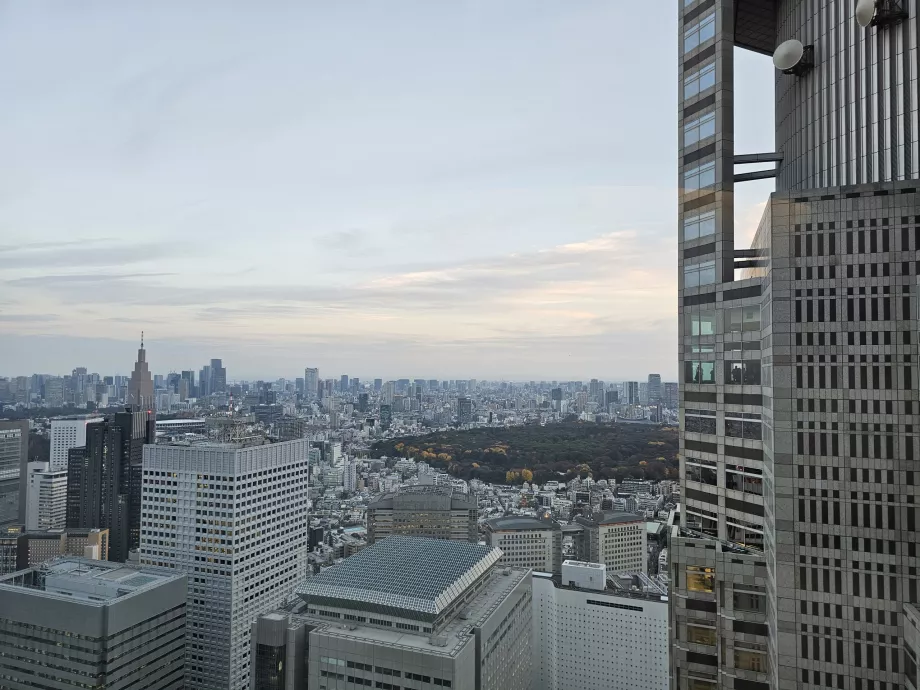 Gedung Pemerintah Metropolitan Tokyo