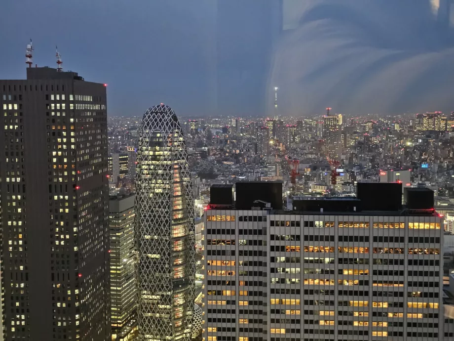 Gedung Pemerintah Metropolitan Tokyo