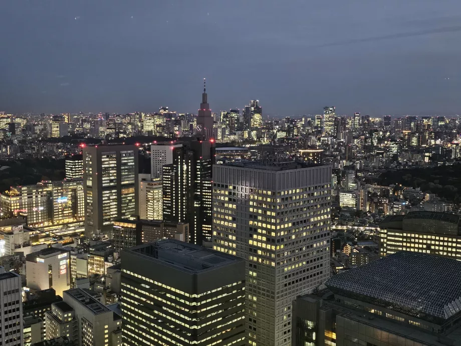 Gedung Pemerintah Metropolitan Tokyo
