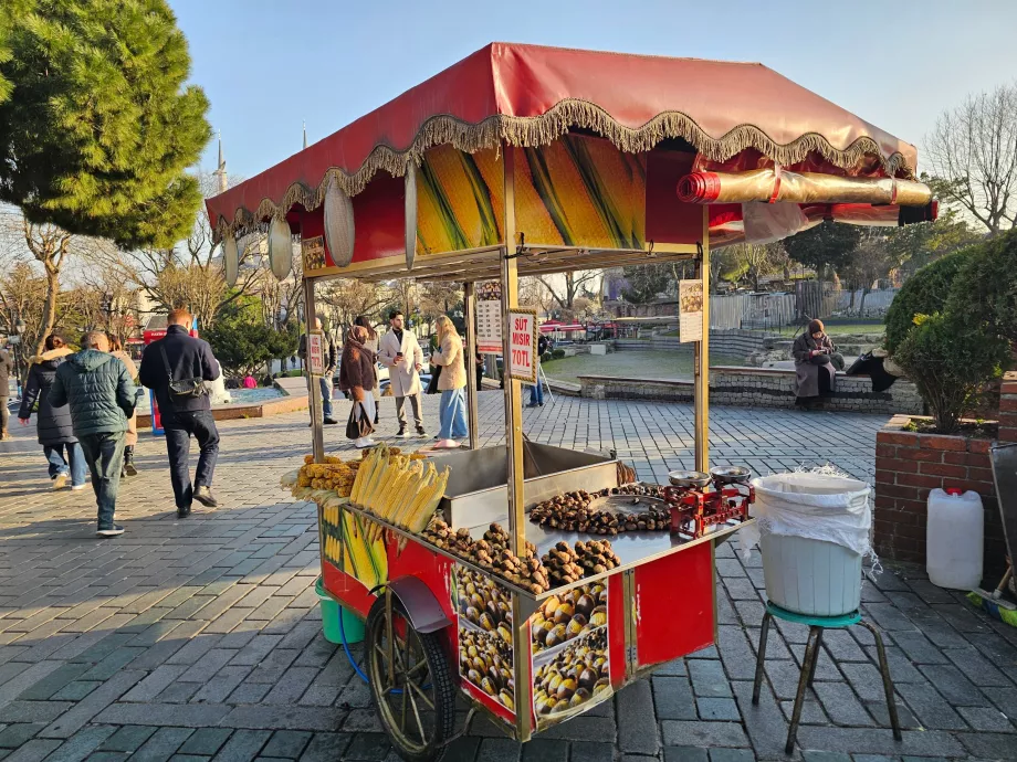 Berdiri dengan jagung dan kastanye