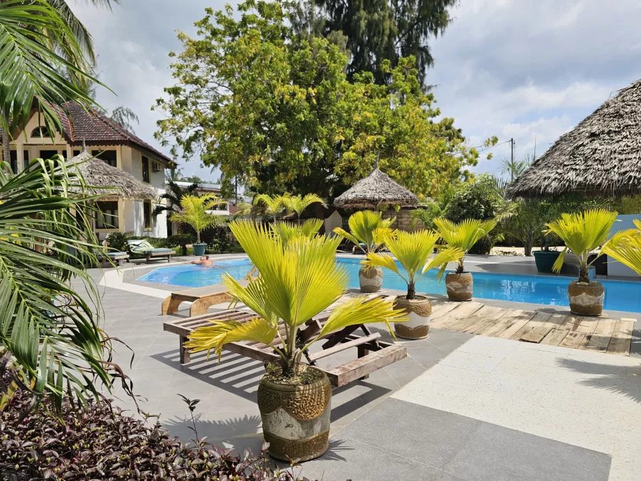 Kolam renang