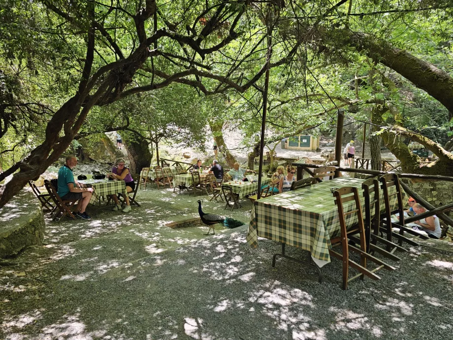 Restoran di Seven Springs