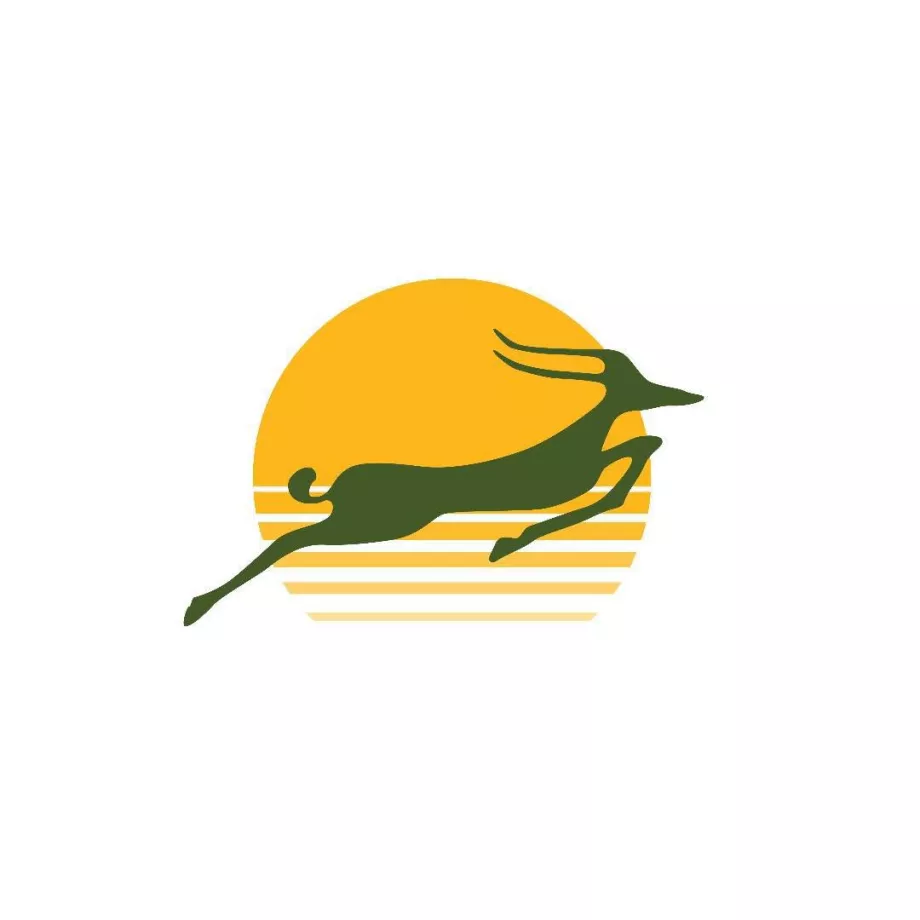 Logo Udara Presisi