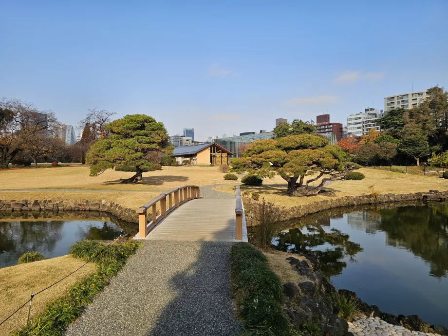 Taman Nasional Shinjuku Gyoen
