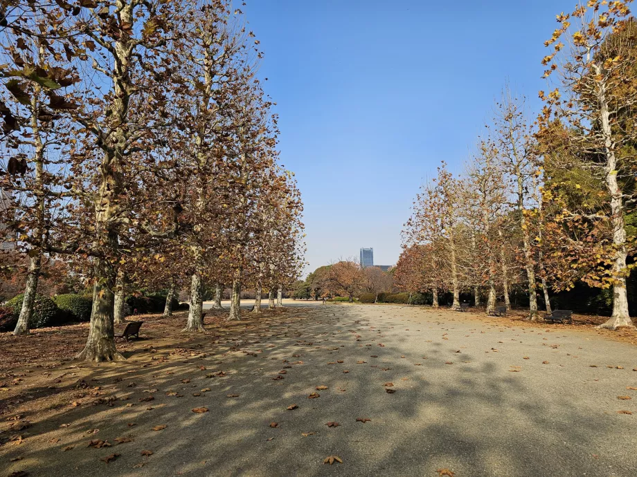 Taman Nasional Shinjuku Gyoen