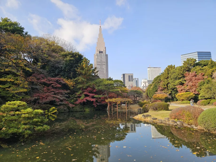 Taman Nasional Shinjuku Gyoen