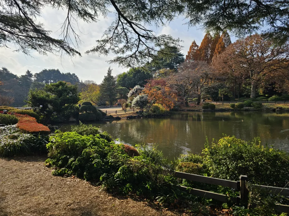 Taman Nasional Shinjuku Gyoen