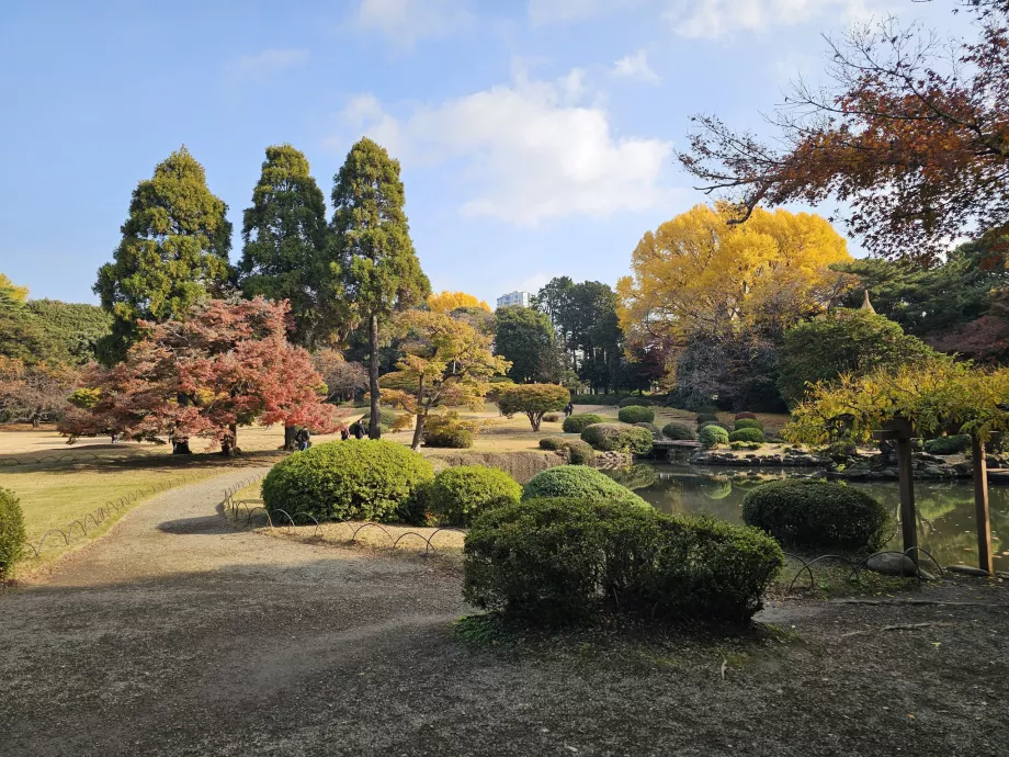 Taman Nasional Shinjuku Gyoen