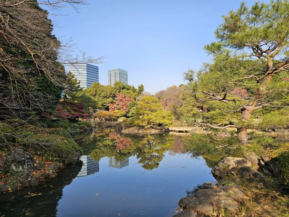 Taman Nasional Shinjuku Gyoen