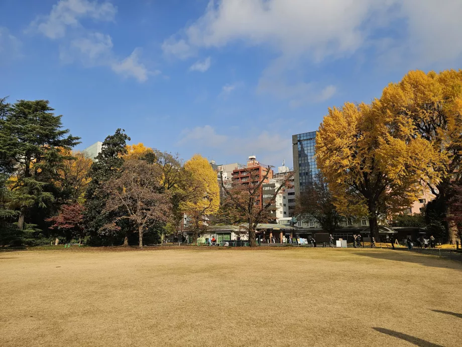 Taman Nasional Shinjuku Gyoen