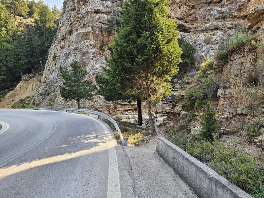 Jacob's Canyon