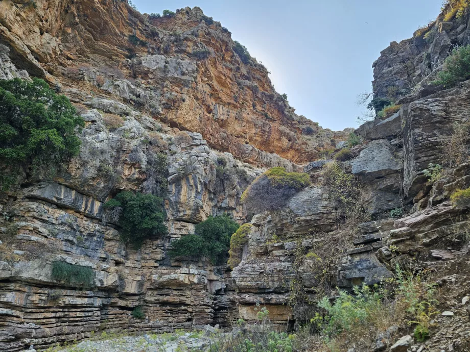 Jacob's Canyon