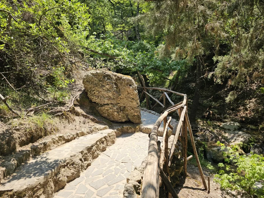 Lembah kupu-kupu
