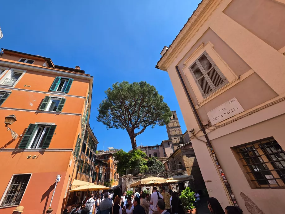 Trastevere