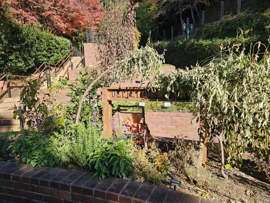 Kebun Herbal Nunobiki