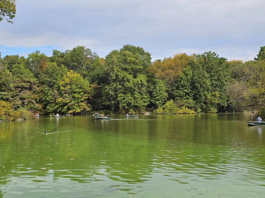 Danau di Central Park