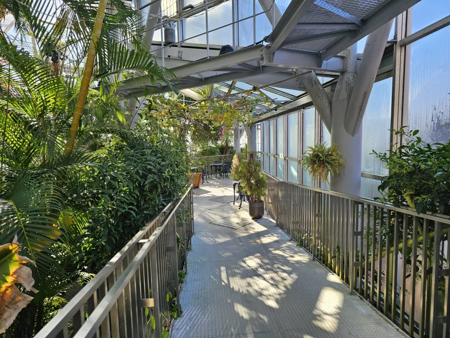 Rumah Kaca di Kebun Herbal Nunobiki