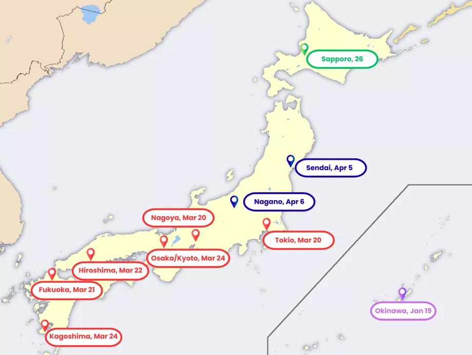 Peta mekarnya bunga sakura