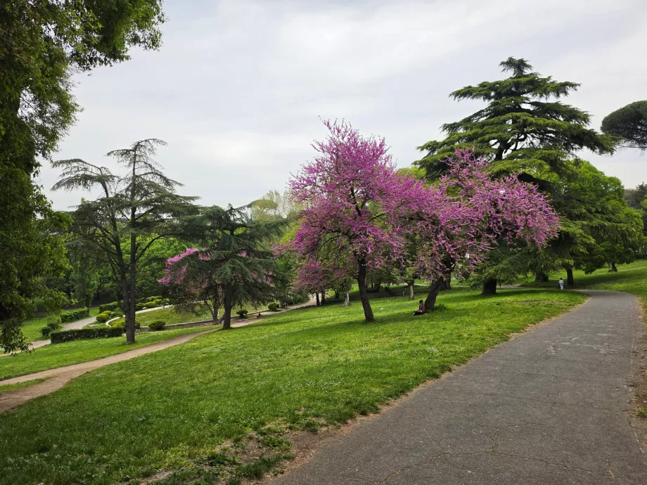 Taman Villa Borghese
