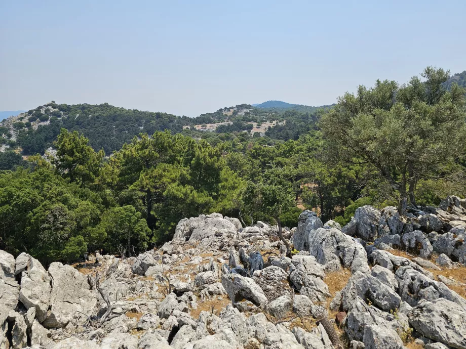 Profitis Elias