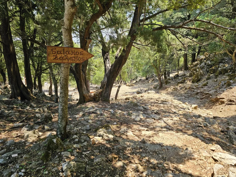 Profitis Elias