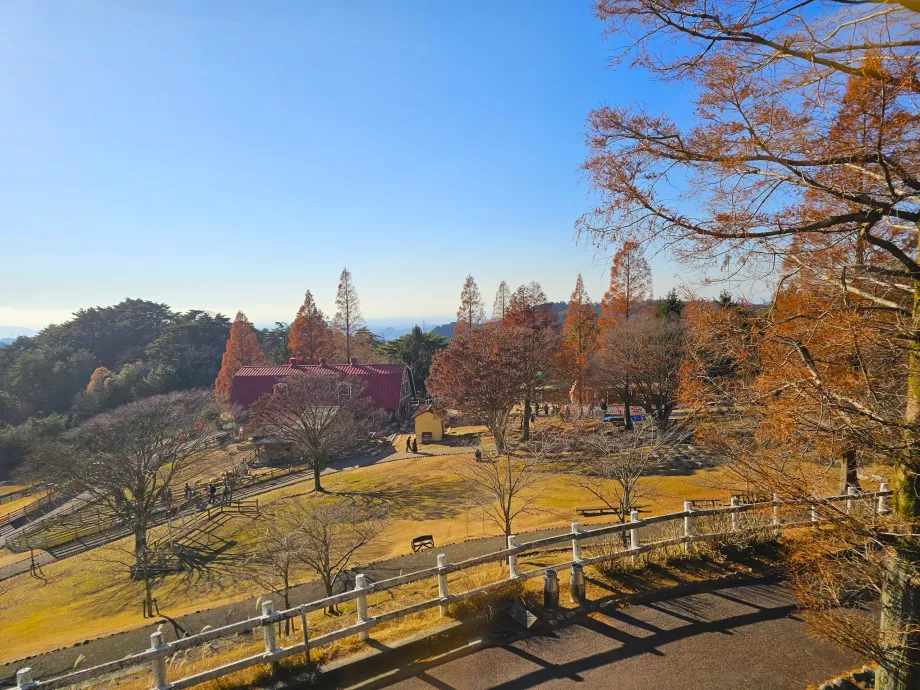 Padang Penggembalaan Rokkosan
