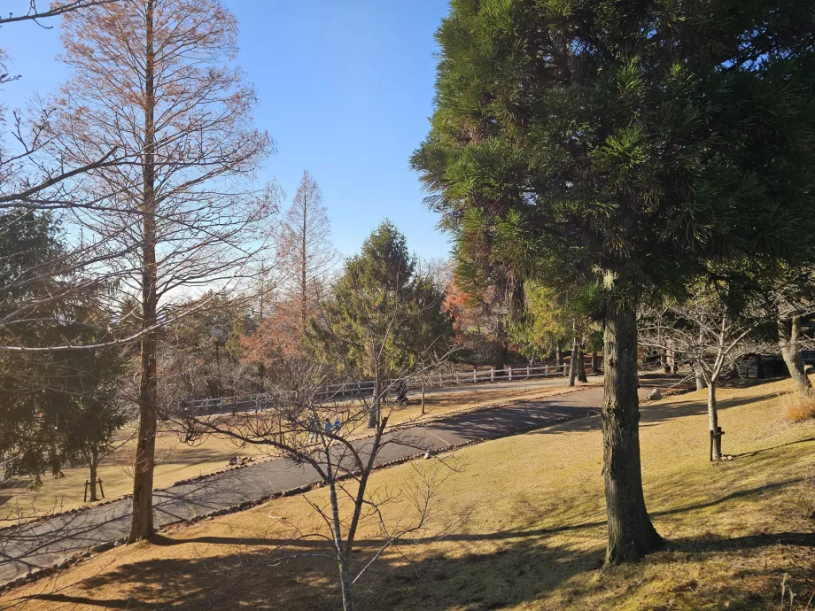 Padang Penggembalaan Rokkosan
