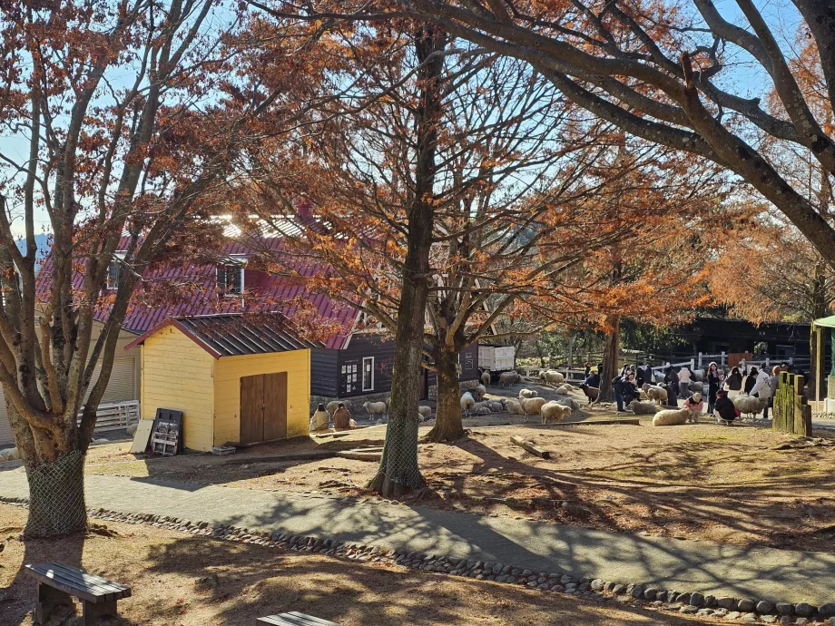 Padang Penggembalaan Rokkosan