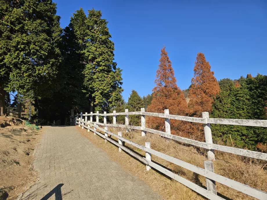 Padang Penggembalaan Rokkosan
