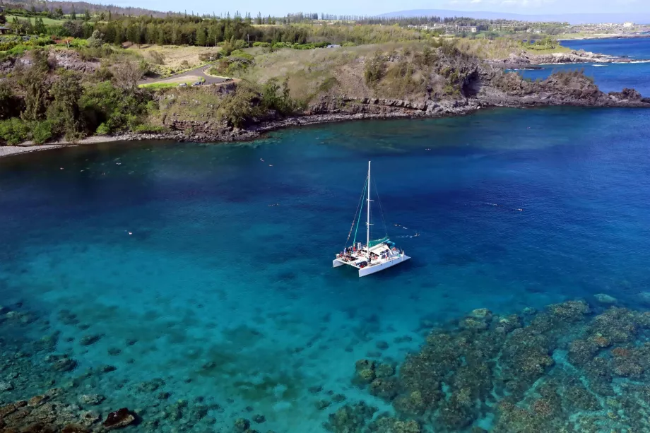 Teluk Honolua