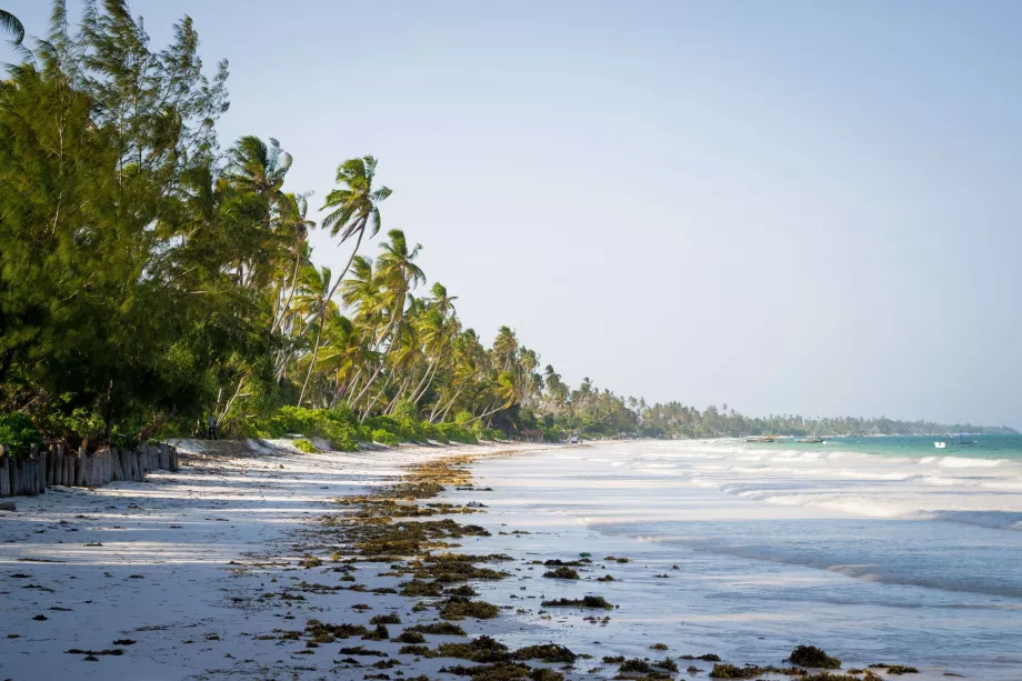 Pantai Bwejuu