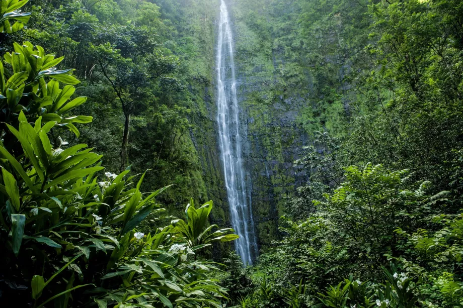Air Terjun Waimoku