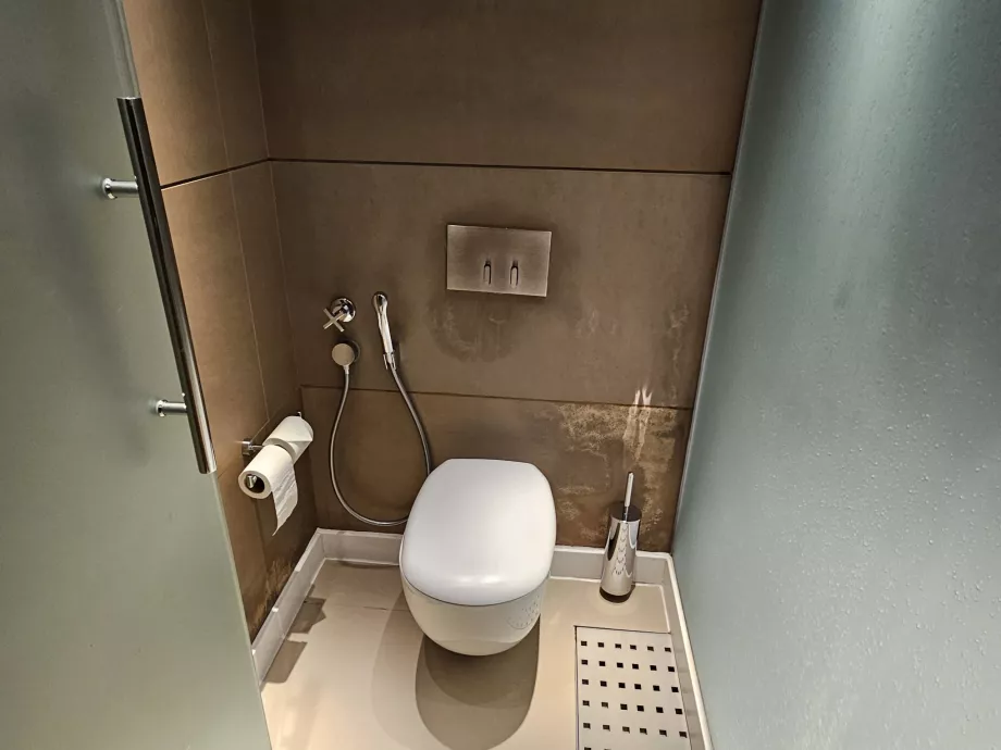 Toilet di dalam kamar dengan shower