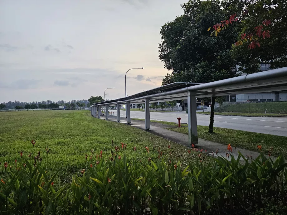 Jalan menuju halte bus